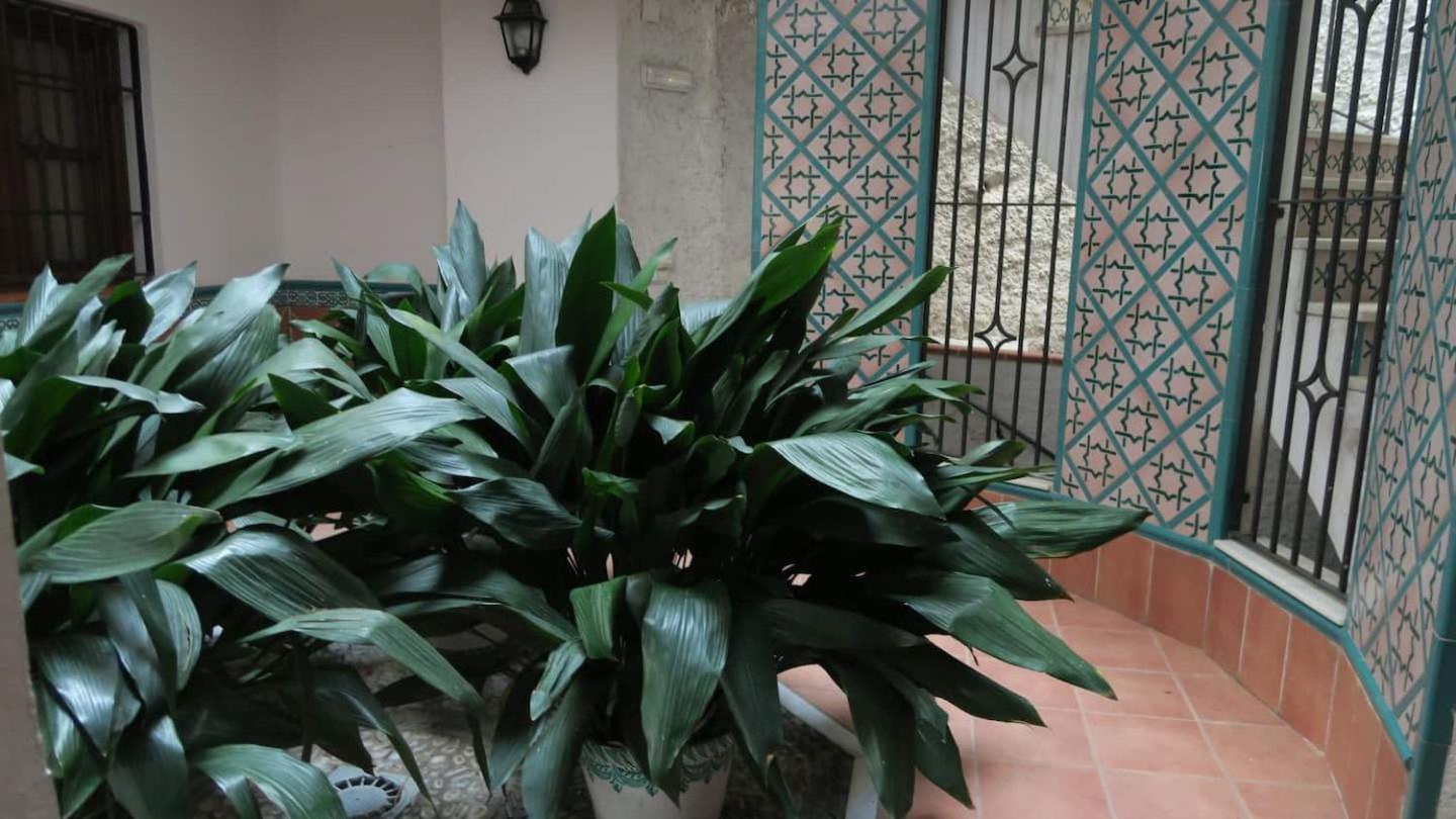 Charming Albaicin Patio Flat Free Onsite Parking Apartamento Granada Exterior foto