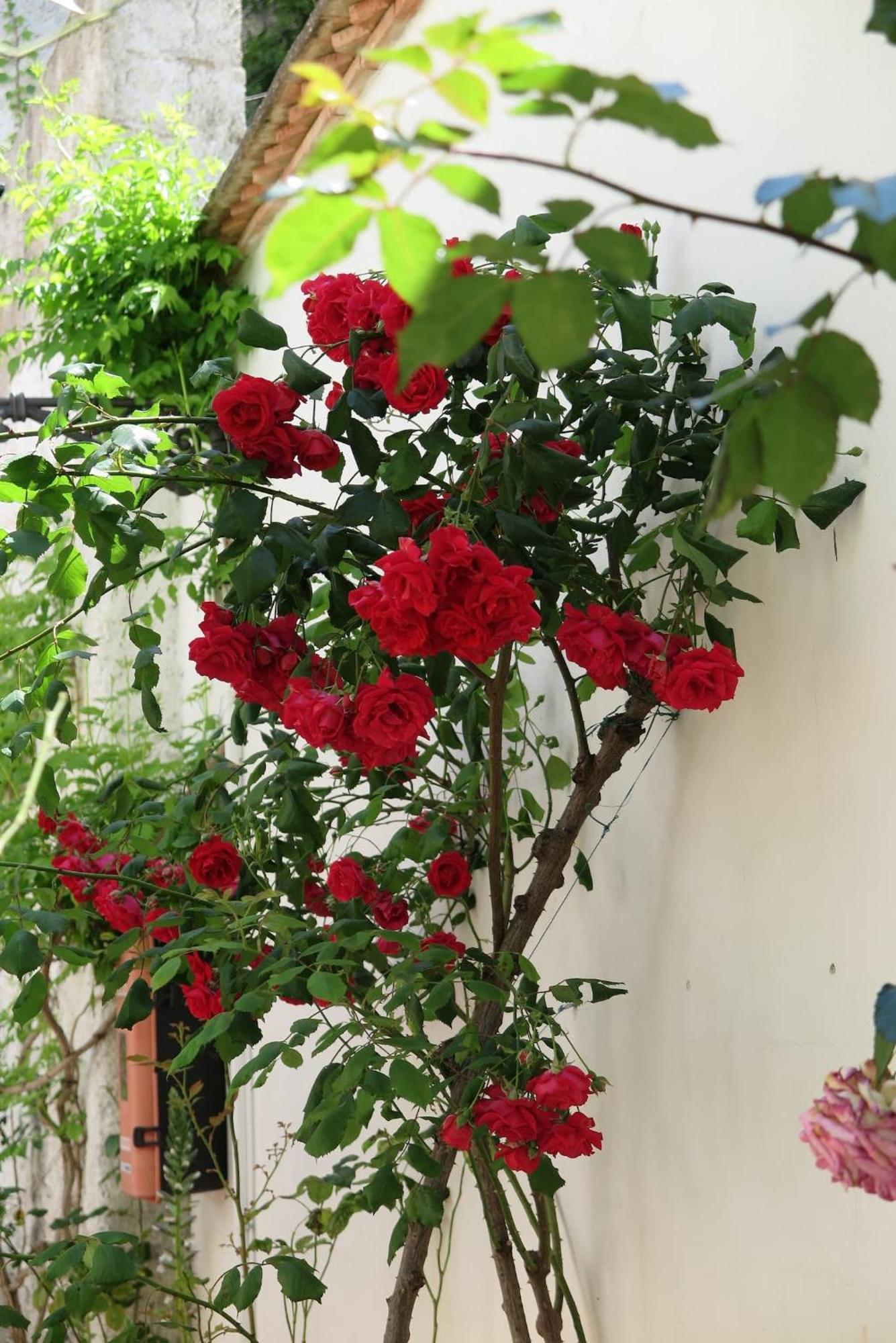 Charming Albaicin Patio Flat Free Onsite Parking Apartamento Granada Exterior foto