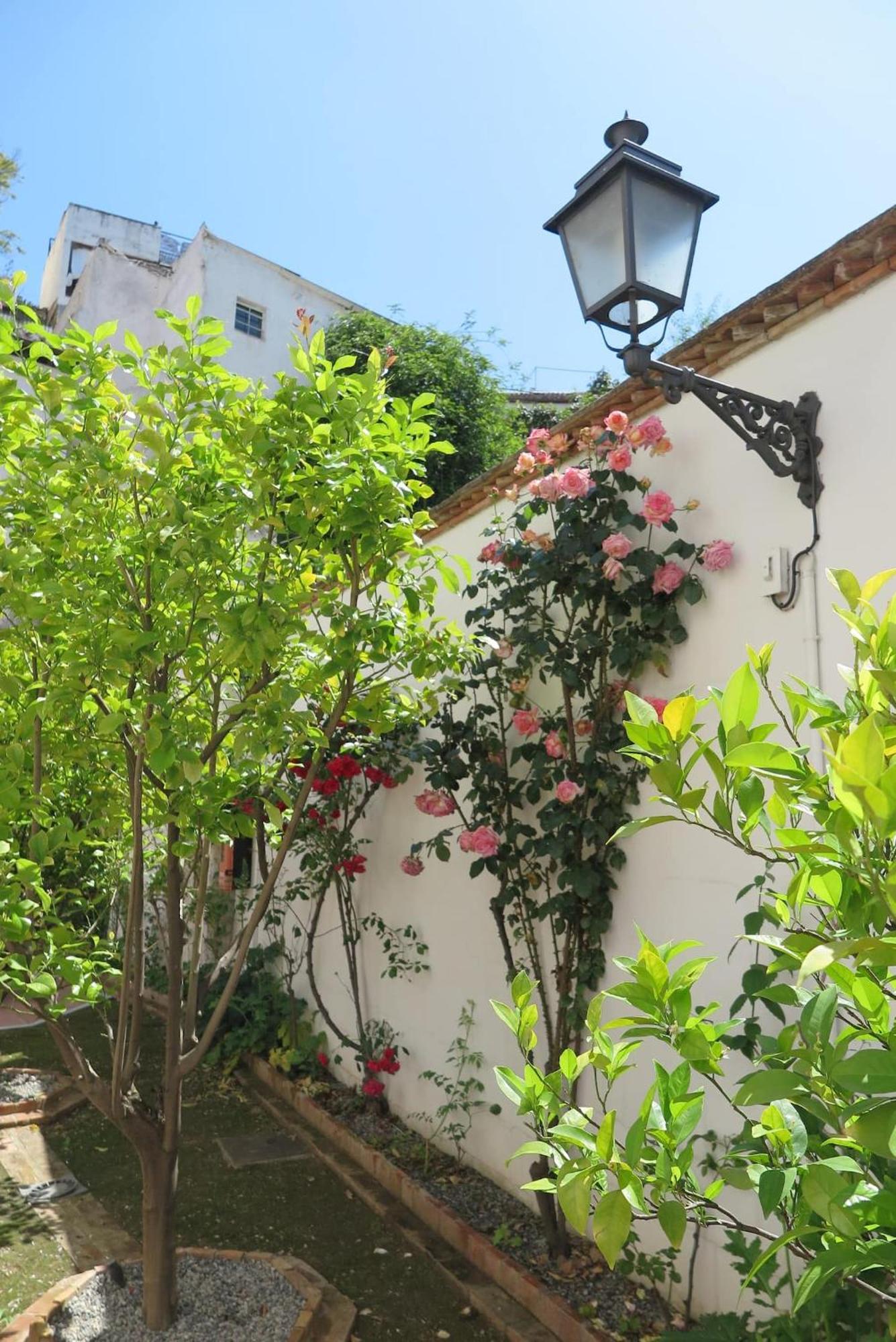 Charming Albaicin Patio Flat Free Onsite Parking Apartamento Granada Exterior foto